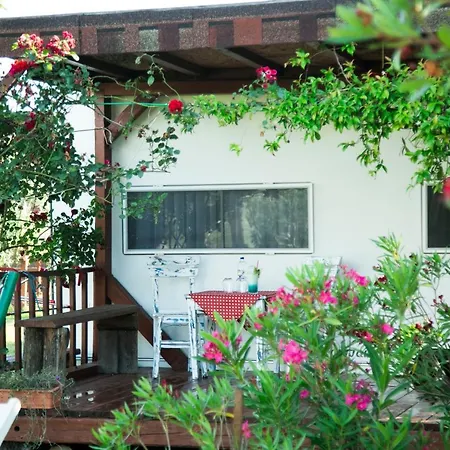 Campsite Cunda Fora Glamping