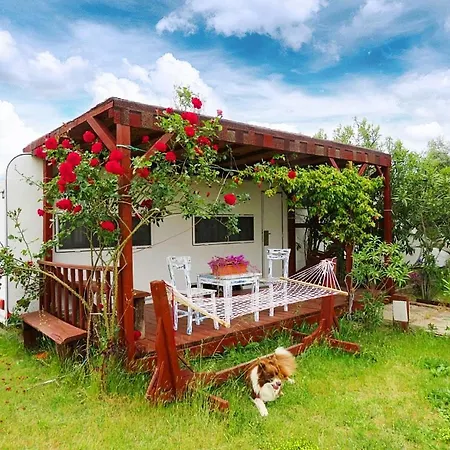 Cunda Fora Glamping Campsite *