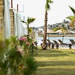 Cunda Fora Glamping *