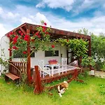 Cunda Fora Glamping Hotel *
