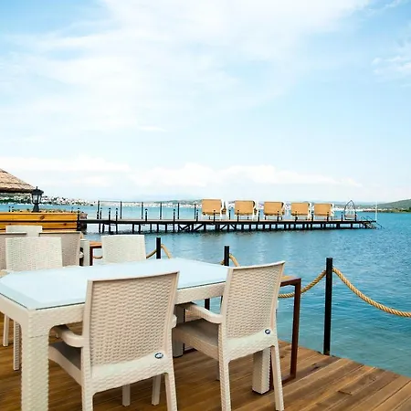 Cunda Fora Glamping Kamp alanı