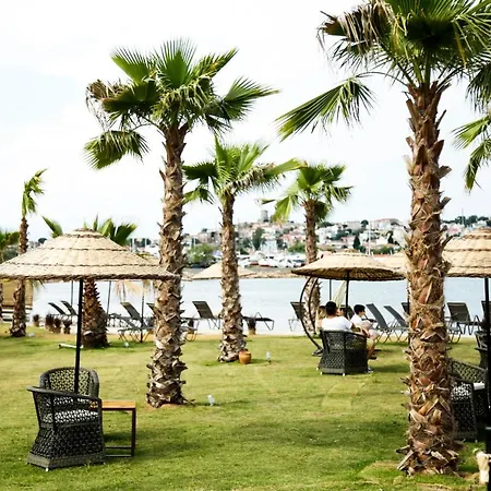 Cunda Fora Glamping Kamp alanı