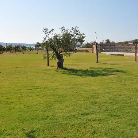Hotel Cunda Fora Glamping *