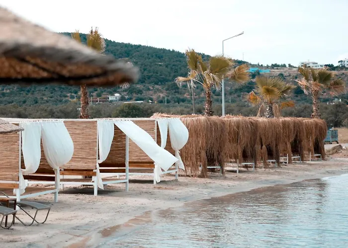 Cunda Fora Glamping מלון Sefacamlik