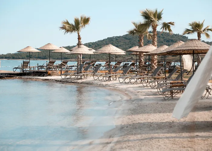 فندق Cunda Fora Glamping *