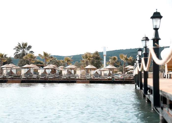 Cunda Fora Glamping فندق *