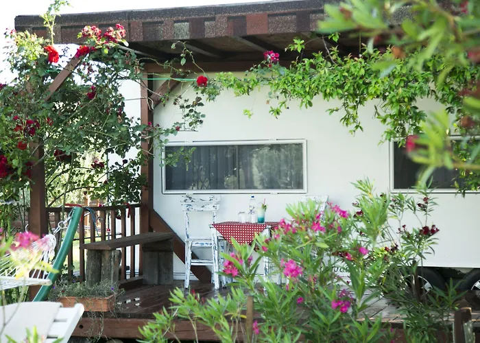 فندق Cunda Fora Glamping *