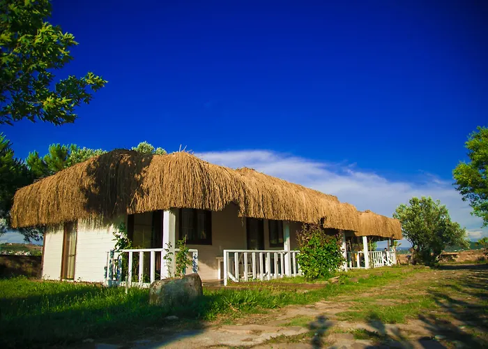 Cunda Fora Glamping فندق