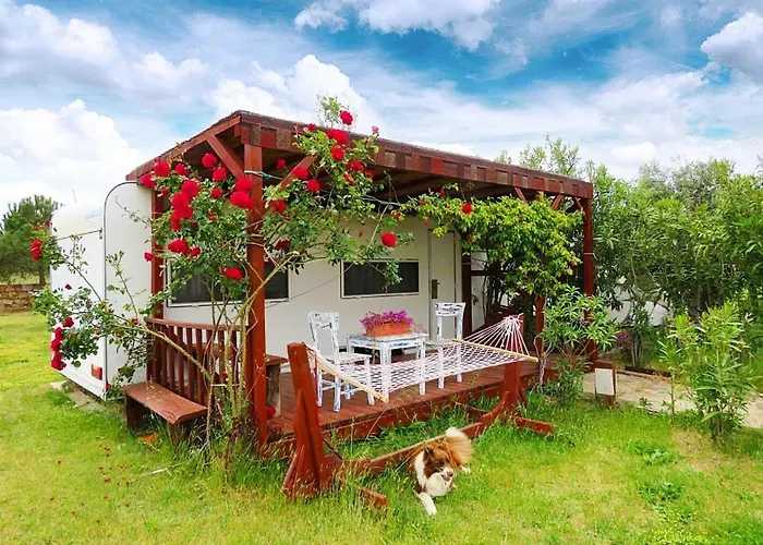 Cunda Fora Glamping فندق *